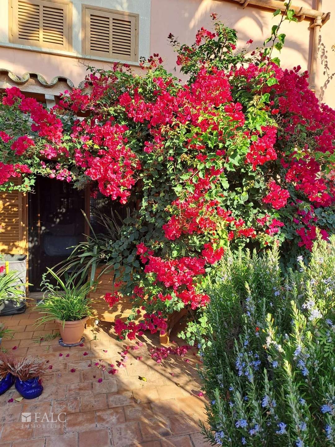 Finca Campos Garten